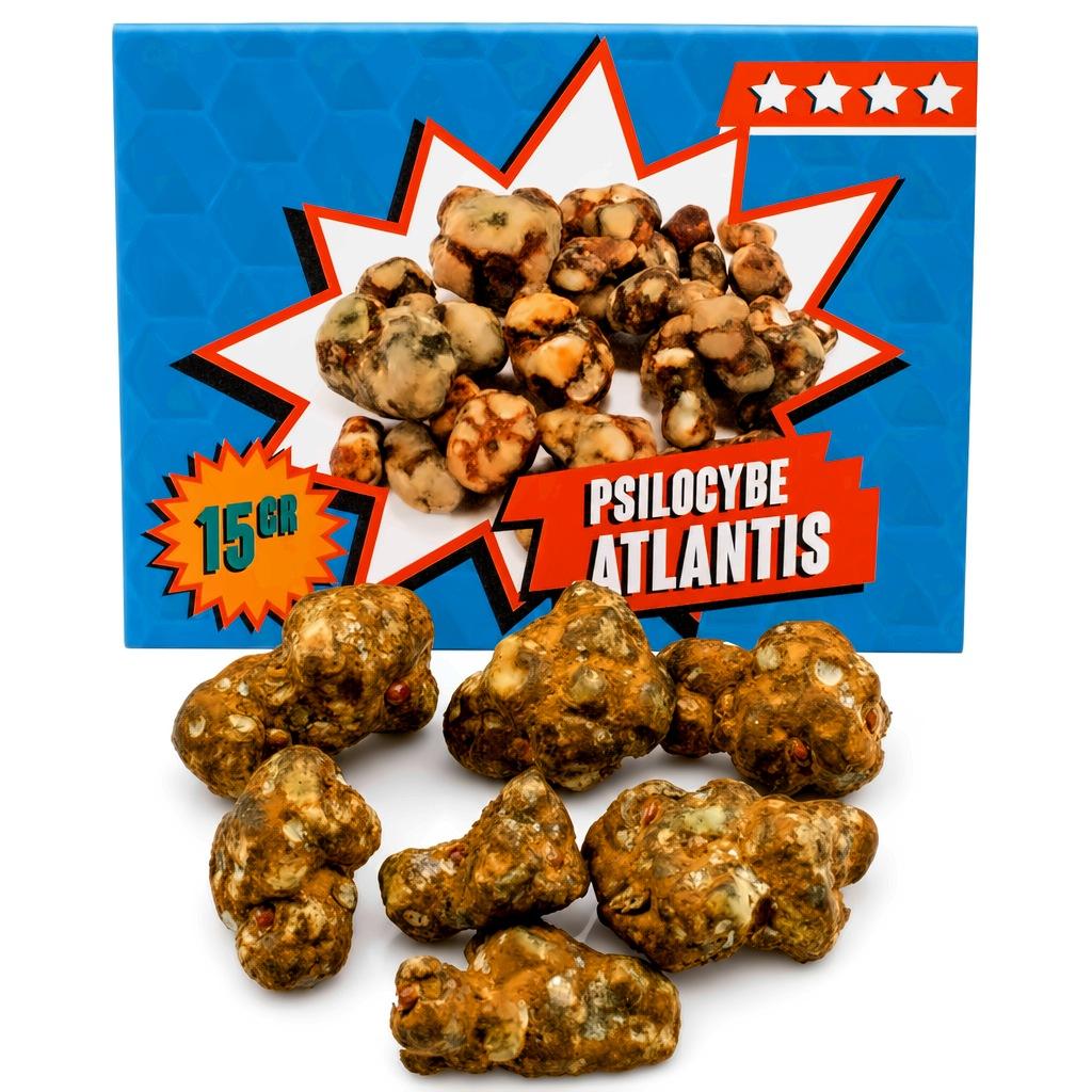 Psilocybe Atlantis magic truffels 15 gram
