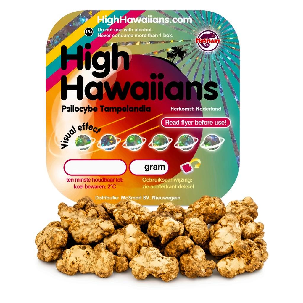 High Hawaiians magic truffels 25 gram, sterke Psilocybe Tampelandia
