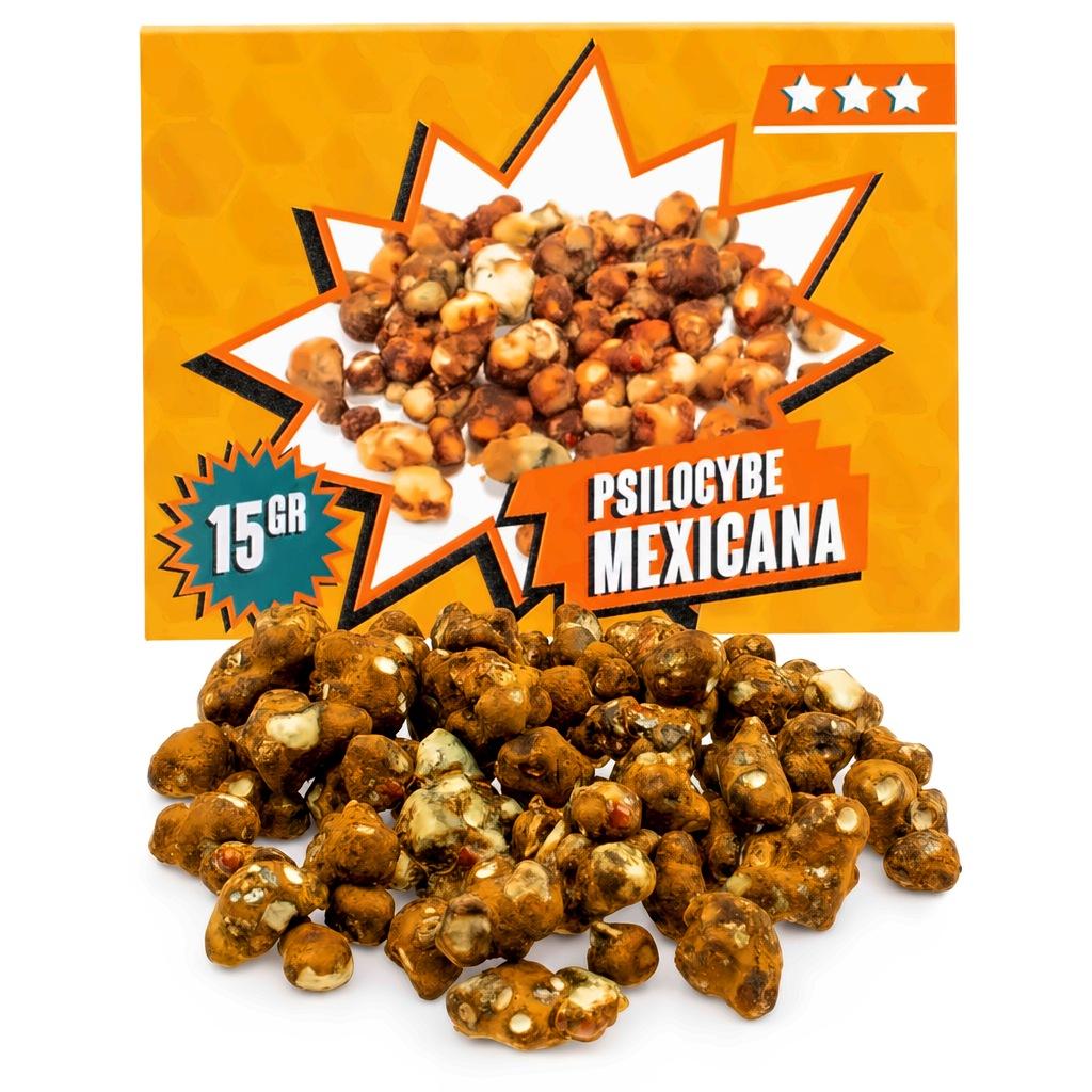 Psilocybe Mexicana magic truffels 15 gram, mild voor beginners