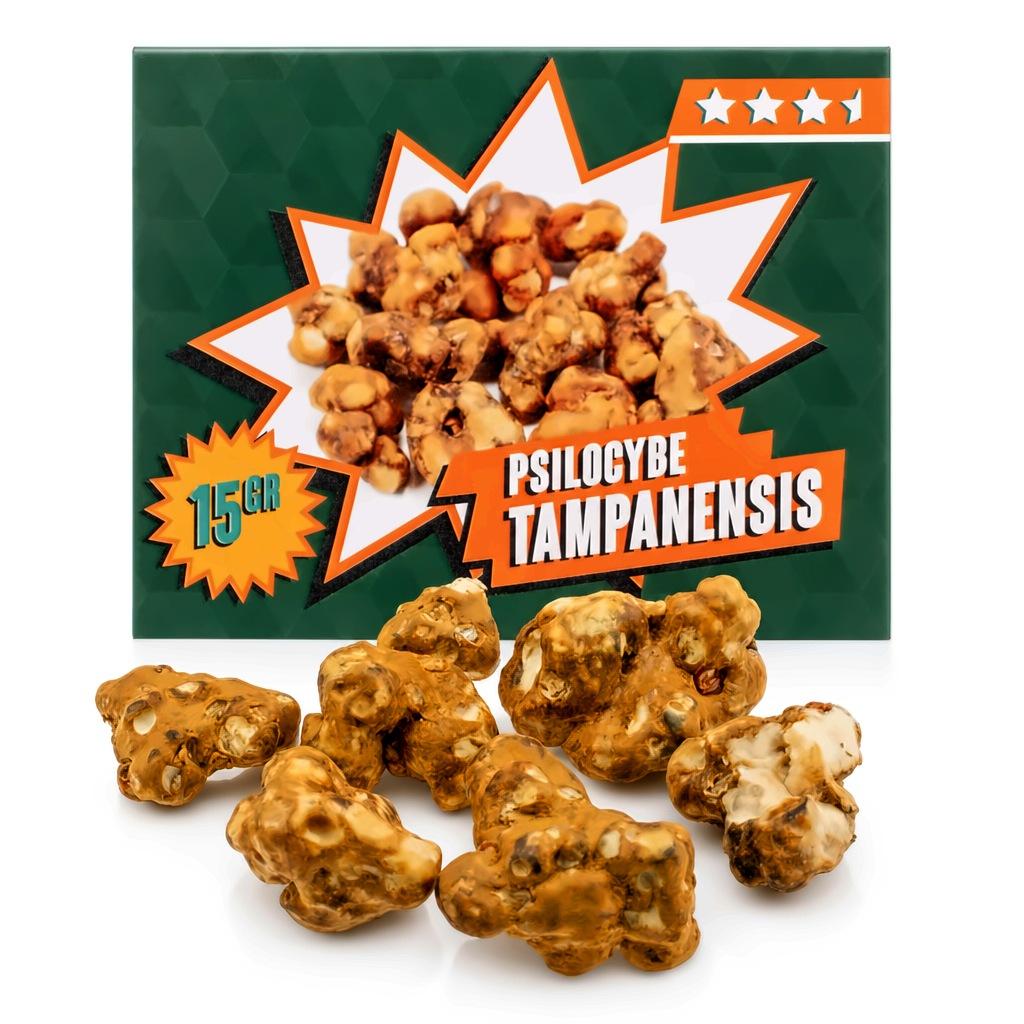 Psilocybe Tampanensis magic truffels 15 gram