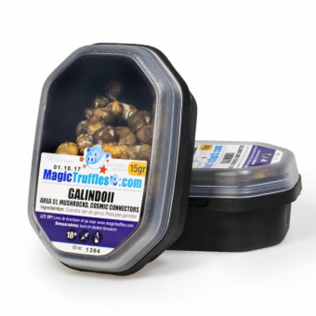 Psilocybe Galindoii Magic Truffels - 15 gram <br><span>Gratis verzending</span>