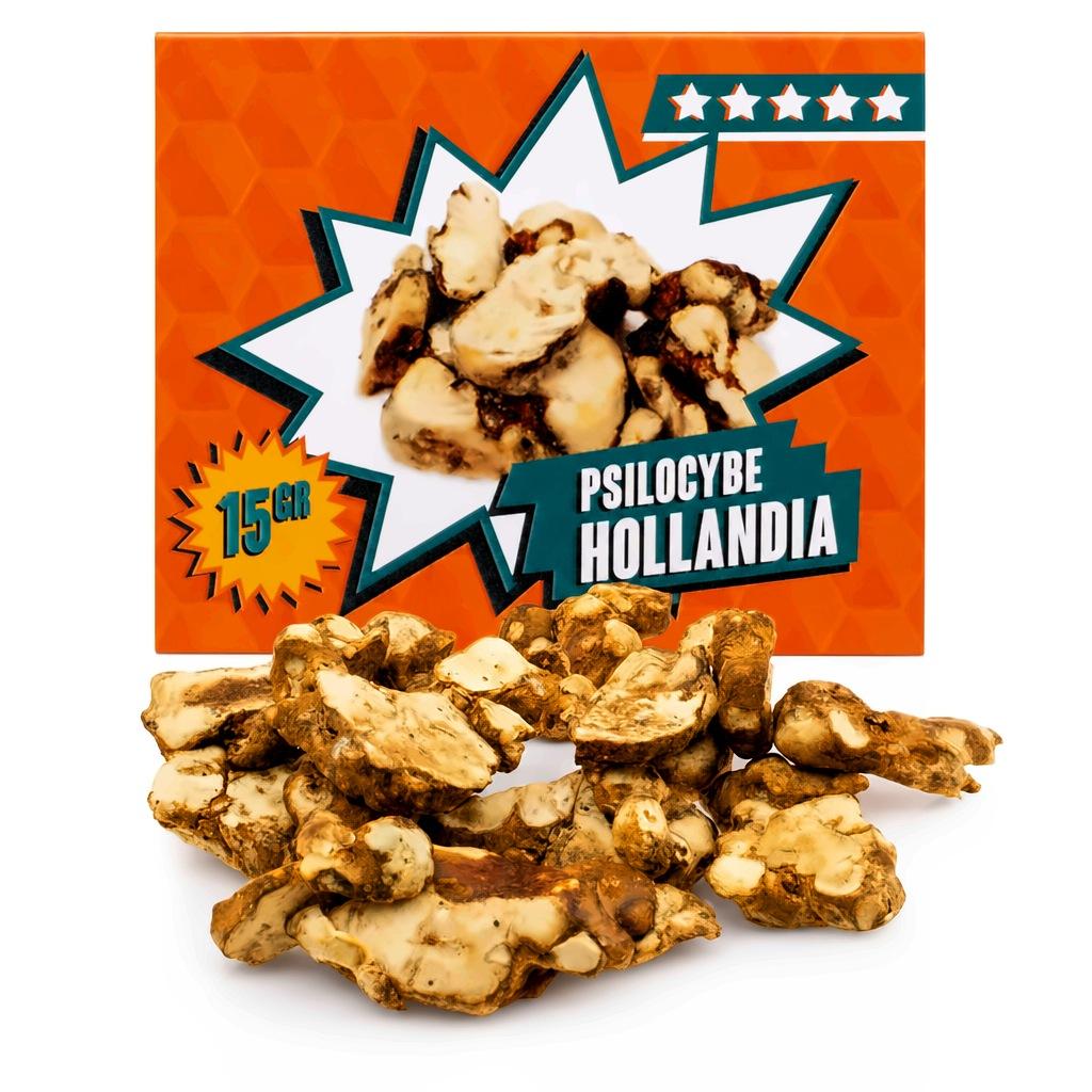 Psilocybe Hollandia magic truffels 15 gram, extra sterk