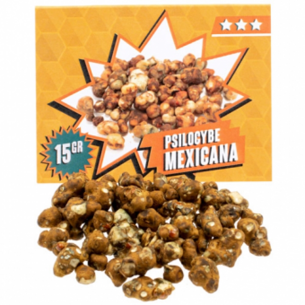 Mexicana Magic Truffels Kopen